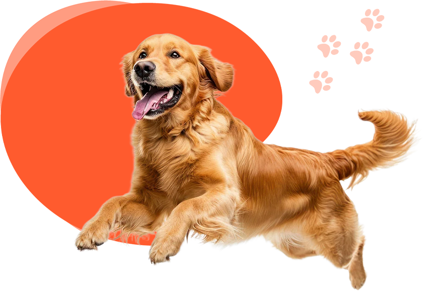 Lishui Tengyu Tierfutter GmbH.